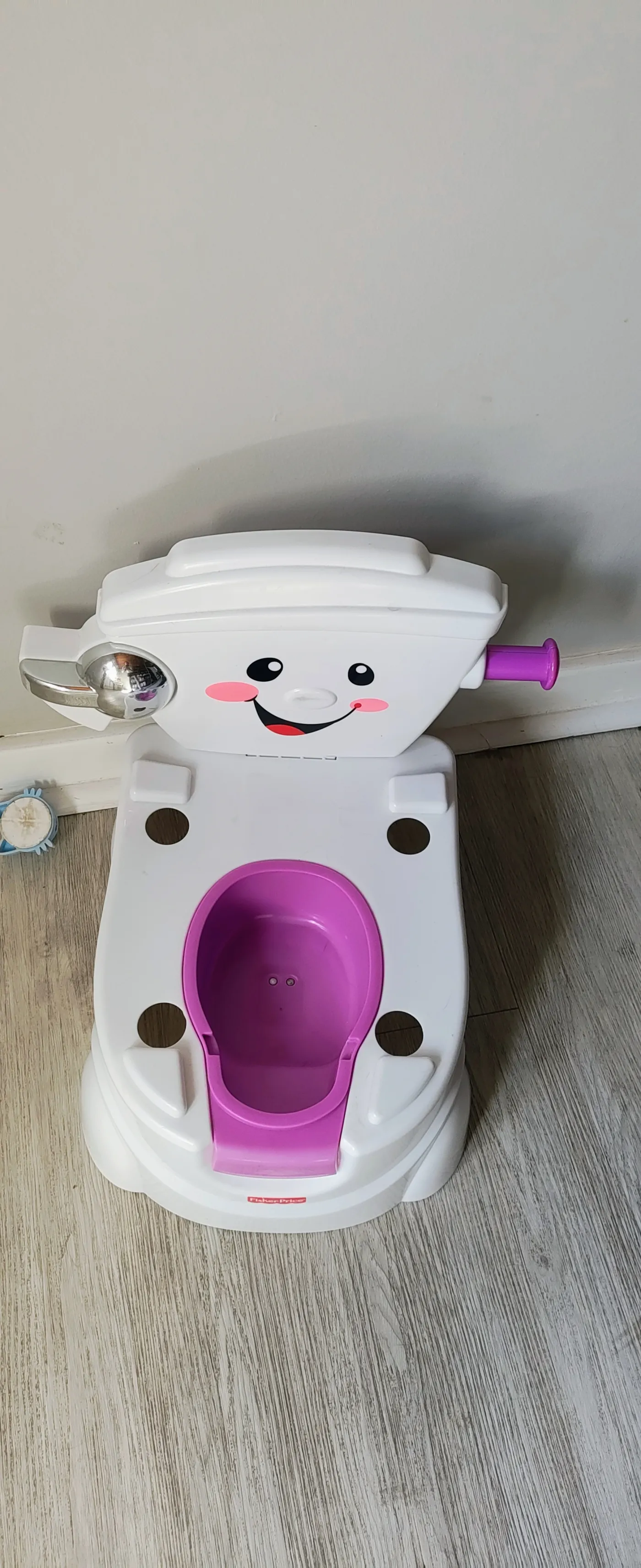 Fisher-Price Learn-to-Flush Potty Trainer